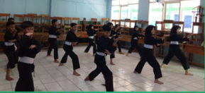Pencak Silat
